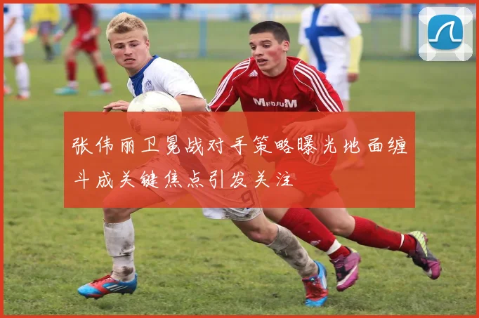 张伟丽卫冕战对手策略曝光地面缠斗成关键焦点引发关注